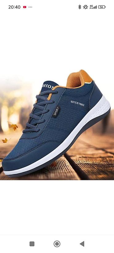 обувь adidas: Кроссовки, 40.5, Adidas, Новый, Платная доставка — 1