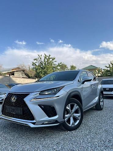 byd e1: Lexus NX: 2017 г., Автомат, Бензин, Кроссовер — 8