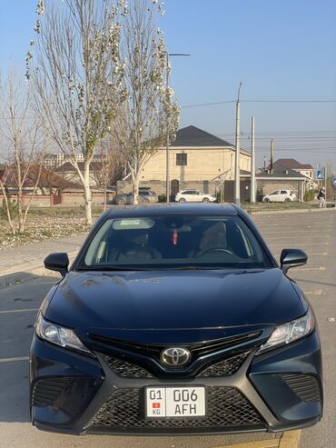 Toyota: Toyota Camry: 2019 г., 2.5 л, Типтроник, Бензин