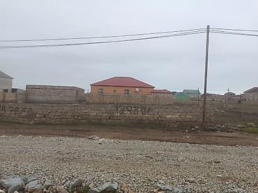 Torpaq sahələrinin satışı: 12 sot, Tikinti, Kupça (Çıxarış) — 7