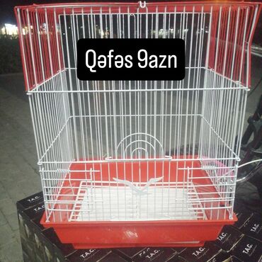 Qəfəslər: Təzə Qəfəslər 9azn boş qəfəslər Valnisti Tutuquşu Qəfəsi 9azn Amadin — 16