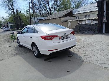sonata dn: Hyundai Sonata: 2018 г., 2 л, Автомат — 3