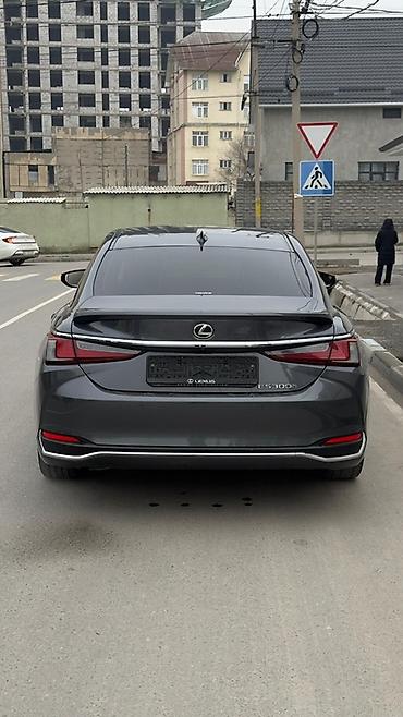 Lexus: Lexus ES: 2023 г., 2.5 л, Вариатор, Гибрид, Седан — 6