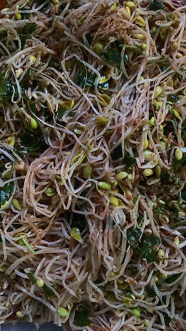 Готовые блюда, кулинария: Ассорти корейских салатов — свежеприготовленные закуски по — 14