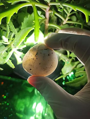 Digər kolleksiyalar: İşıq keçirən Təbii Mineral Daşlar 💎Qiymətlə bağlı maraqlananlar zəhmət — 6