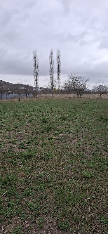 razinde evler: Şəki, 70 kv. m, 3 otaqlı, Hovuzsuz, Kommunal xətlər qoşulmayıb — 3