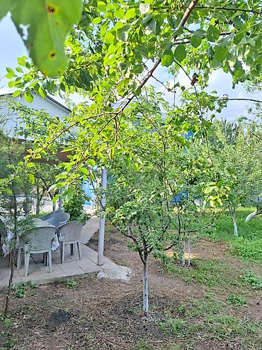 Günlük kirayə evlər: 100 kv. m, 3 otaqlı -da lalafo.az — 5 Günlük kirayə evlər: 100 kv. m, 3 otaqlı — 5