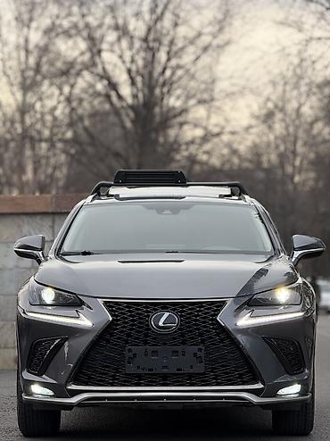 Lexus: Lexus NX: 2019 г., 2 л, Автомат, Бензин, Кроссовер — 2