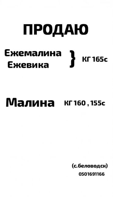 жалюзи на окна цена бишкек: Малина Самовывоз