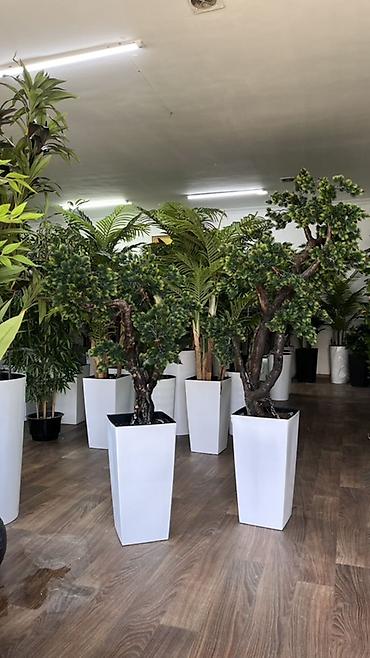 солнечные лампы: Instagram:Mayram.decor.kg Искусственные растения в кашпо для дома — 3