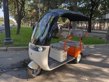 трёхколёсный электроскутер: Microcar : 2024 г., Электромобиль