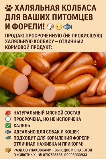 роаккутан бишкек цена: Колбаса для животных и форели — халяль, срок прошёл, не испорчена 🐶🐱🐟