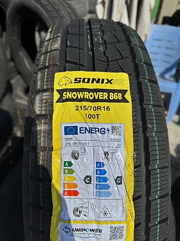 thindiag 2: Зимние шины SONIX Snowrover 868 - Размер: 215/70 R16 Знаменитая — 1