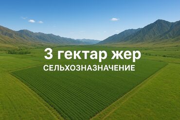 продаю дом в городе токмок: 300 соток, Для сельского хозяйства