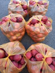 макадамский орех цена: Яблоки Крипсон, Оптом