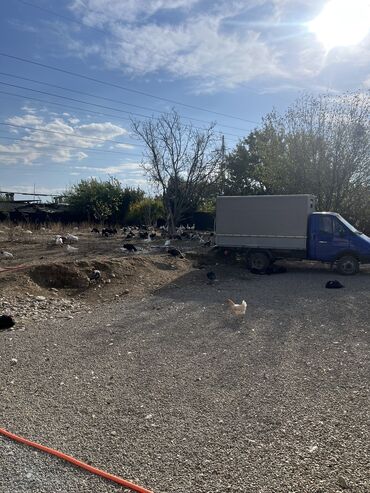 Həyət evləri və villaların satışı: 2 otaqlı, 47 kv. m, Kredit yoxdur, Orta təmir — 13