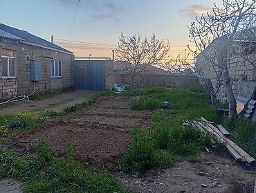 naxçıvanda ev satışı: Satilir ev orta temirlidi unvan xaşaxuna baqlari qiymeti razilaşma — 1