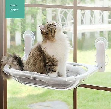 Прозрачный подоконный гамак-лежанка для кошек на присосках🐈🐈 Обзор