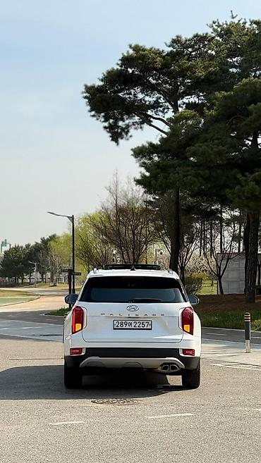 drive: Hyundai Palisade: 2019 г., 2.2 л, Автомат, Дизель, Кроссовер — 2