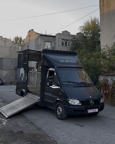 motor 313 cdi sprinter: 🐎 ПРОДАЮ КОНЕВОЗКУ MERCEDES-BENZ SPRINTER 313 🚛 Продаётся надёжная и — 1