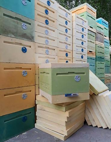 Ящики: Ящик — 1