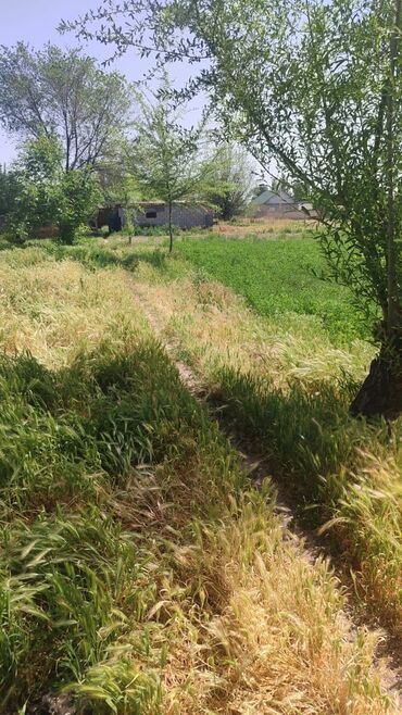 гаражи кара балта: Үй, 70 кв. м, 7 бөлмө, Менчик ээси, Эски ремонт