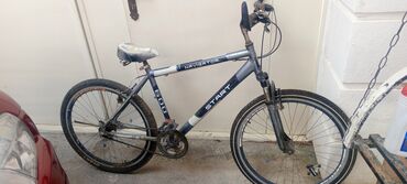 İdman velosipedləri: Dağ velosipedi Start, 26"