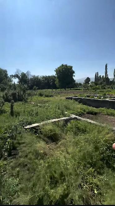 участок 15 соток: 15 соток, Для строительства, Красная книга — 1