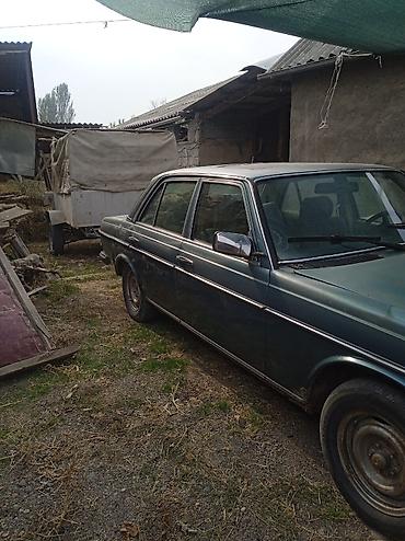 w12: Mercedes-Benz W123: 1983 г., 3 л, Дизель, Седан — 1