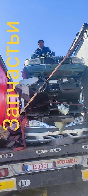 Volkswagen: Volkswagen Golf: 1995 г., 1.9 л, Дизель, Купе — 2