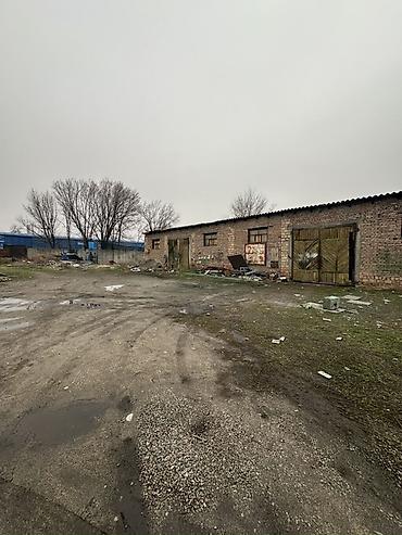 Кыймылсыз мүлк: 29 соток, Кызыл китеп — 7