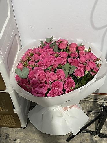 отдам даром комнатные цветы: 3000сом — 1