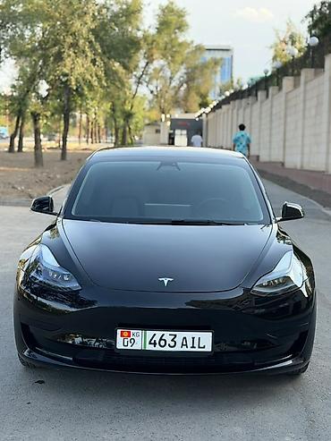 byd e6: Tesla Model 3: 2023 г., 0.1 л, Автомат, Электромобиль, Лифтбек — 1