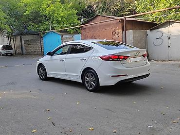 turbo az elantra sport: Hyundai Elantra: 1.6 l | 2016 il Sedan — 4