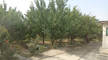 Продажа домов: Дом, 100 м², 5 комнат, Собственник, Косметический ремонт — 5