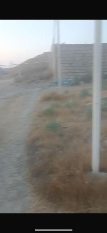 kupcali torpaqlar satisi: 16 sot, Kənd təsərrüfatı, Mülkiyyətçi, Kupça (Çıxarış) — 6