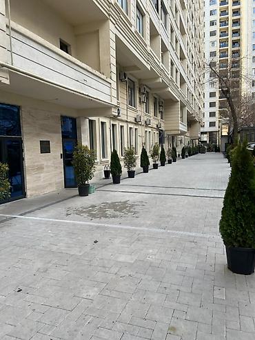 ev menzil: 2 otaqlı, Yeni tikili, 133 kv. m — 2