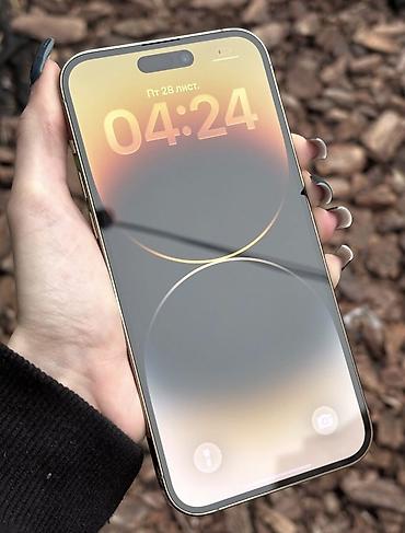 13 pro max 512: IPhone 14 Pro Max, Б/у, 256 ГБ, Золотой, Защитное стекло, Чехол, 71 % — 7