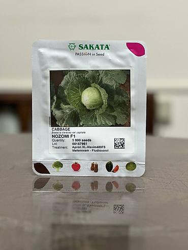 Другие овощные культуры: Семена овощных культур SAKATA (профессиональная серия, фасовка по 1000 — 19