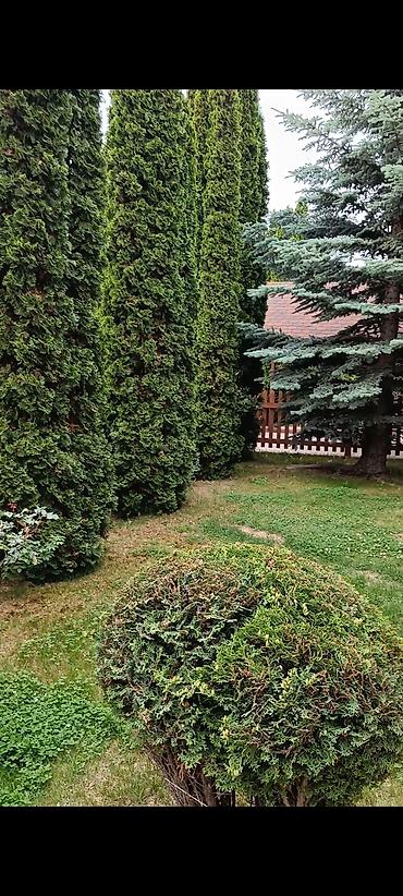 Иссык-Куль 2026: Коттедж, КОТТЕДЖ ЦО Ак Марал, Бает, Детская площадка, Парковка, стоянка, Охраняемая территория — 26