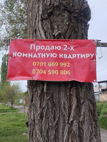 Продажа квартир: Кара балта село вазнесеновка красный металисте 2 экинчи этаж