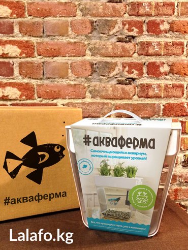 аэратор для рыбы: Акваферма представляет собой самоочищищающийся аквариум, который ещё и — 4