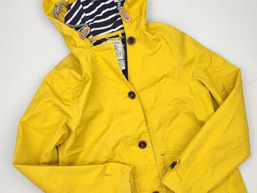 Women's Clothing: Women`s lightweight jacket, size S (EU 36)