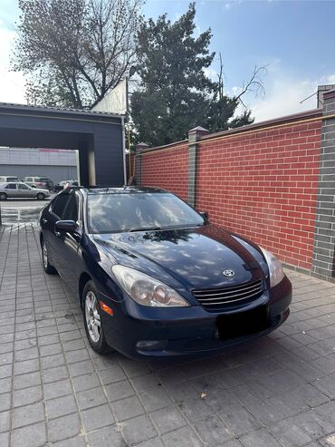 титан диски тайота виндом: Toyota Windom: 2003 г., 3 л, Автомат, Газ, Седан