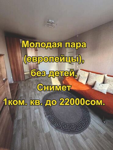 долгий срок квартира: 1 комната, 30 м², С мебелью