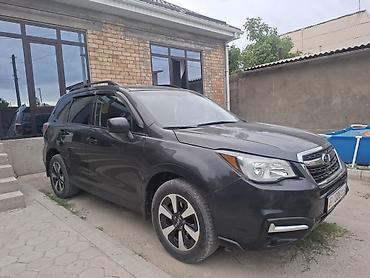 forester: Subaru Forester: 2019 г., Кроссовер — 1