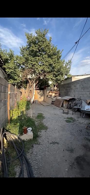 баа: САТЫЛАТ — ТОП ЛОКАЦИЯ! 🔥 📍 Пишпек району, Тимур Фрунзе көчөсү — 5
