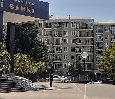 ferma is: В центре города рядом с Центр банком За 28 Молл, Консерваторией — 1