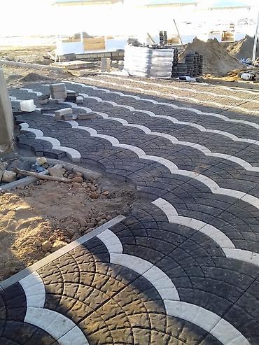 solon maları: Öz şesxsi zavod mallarimizdir artiq söze ehtiyac yoxdur mehsular — 3