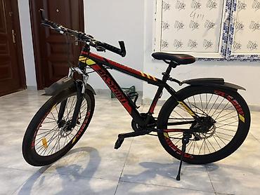 İdman velosipedləri: Oturacaqları və pedalları rahatlıq üçün dəyişilib, hamısı bahalı — 3